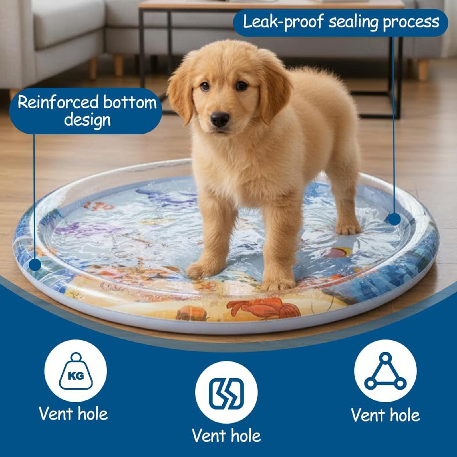 Slip Slide Water Mat - Thicken Interactive Cat Play Mat Water