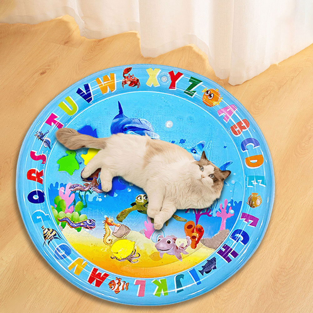 Inflatable Water Sensory Play  - Slip Slide Water Mat 评论和价格