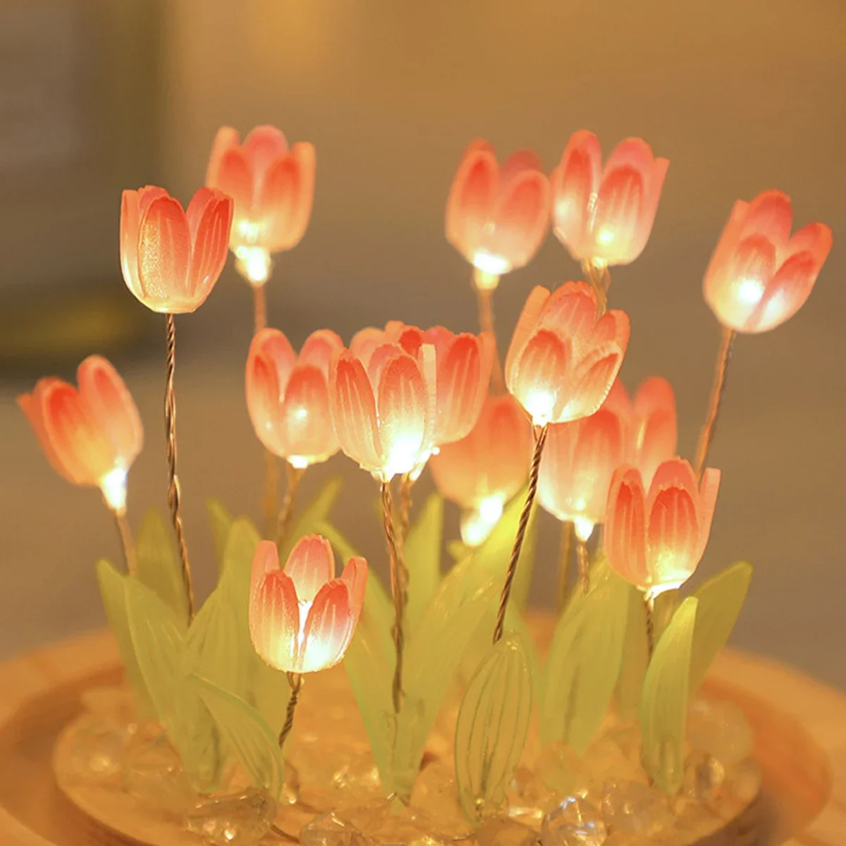 LED DIY Handmade Mini Tulip Ni - Kids Outdoor Movie Night 评论和价格