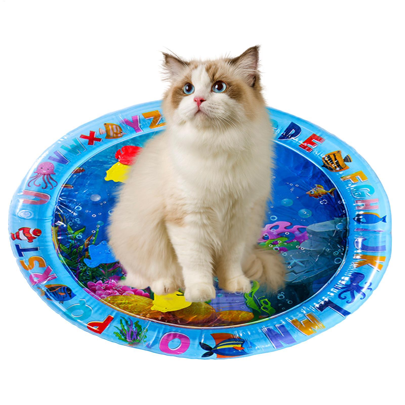 Pet Water Sensory Play Mat for - Slip Slide Water Mat 评论和价格