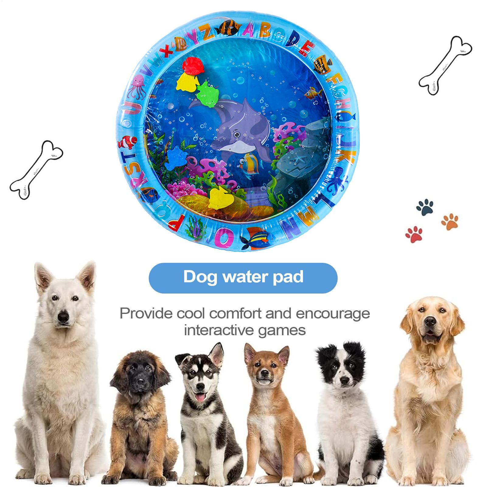 Pet Water Sensory Play Mat for - Slip Slide Water Mat 评论和价格