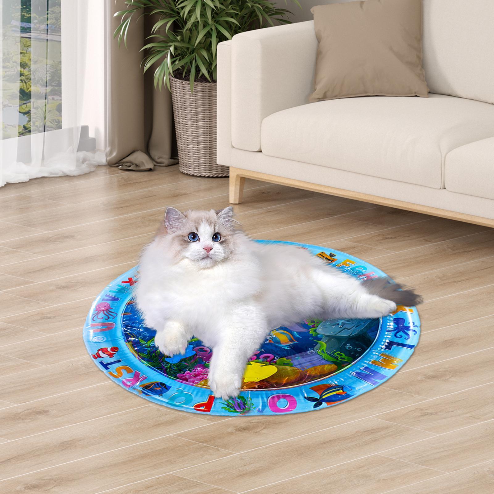 Pet Water Sensory Play Mat for - Slip Slide Water Mat 评论和价格