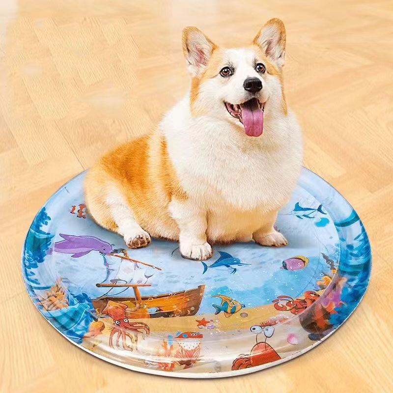 Water Sensory Play Mat Thicken - Slip Slide Water Mat 评论和价格
